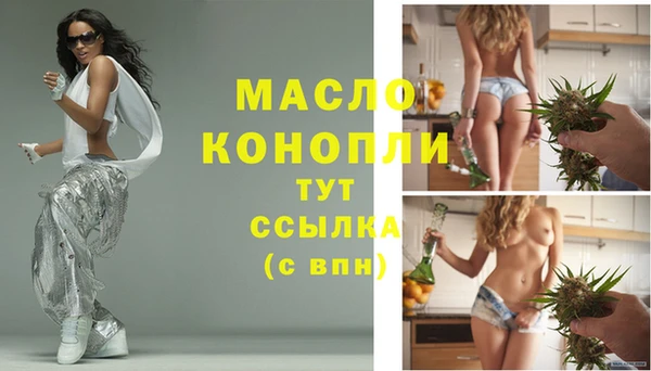 гидра Гусь-Хрустальный