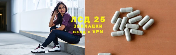 гидра Гусь-Хрустальный