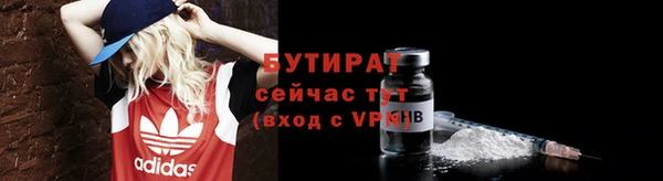 гидра Гусь-Хрустальный