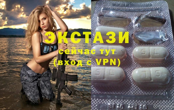 гидра Гусь-Хрустальный