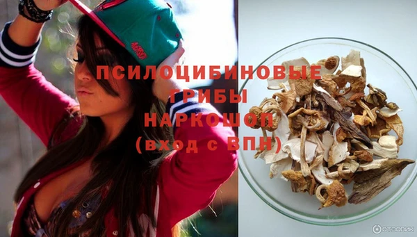 гидра Гусь-Хрустальный