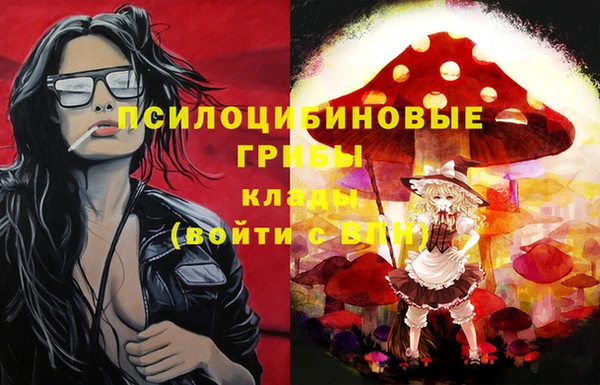COCAINE Гусев