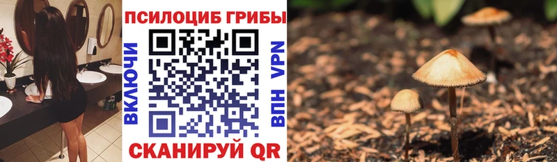 даркнет сайт  Альметьевск  Псилоцибиновые грибы Magic Shrooms 